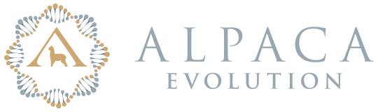 Alpaca Evolution